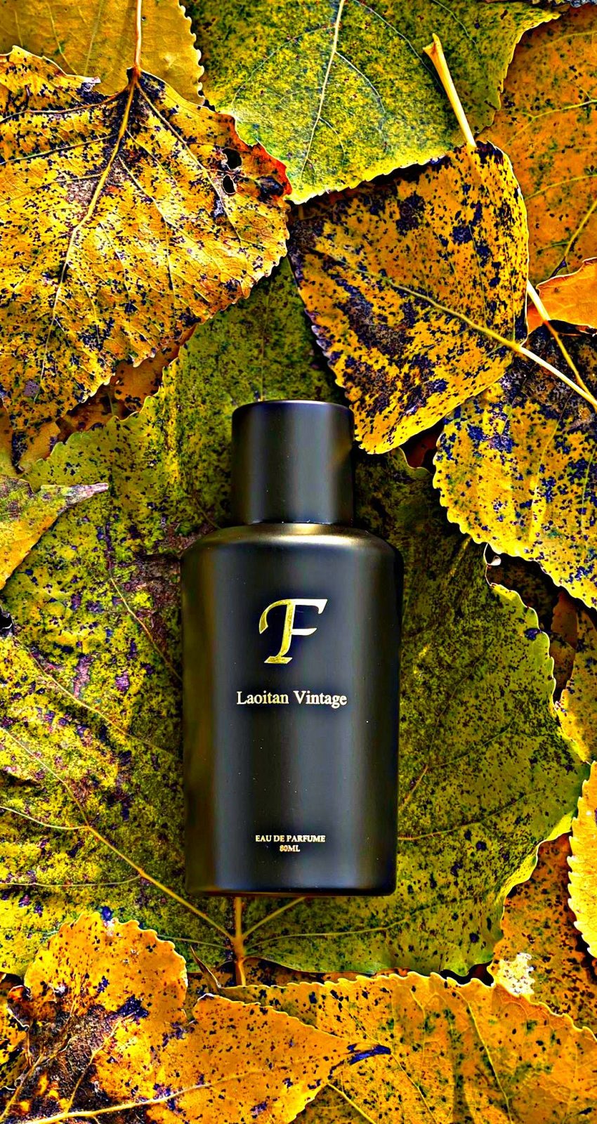 laoitan vintage edit